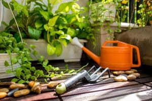 Comment jardiner même quand on vit en appartement ?