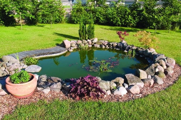 Quelle forme de bassin choisir ?
