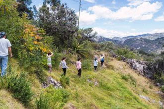 Circuits touristiques thématiques : explorez l'histoire, la culture et la nature