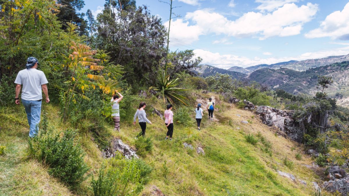 Circuits touristiques thématiques : explorez l'histoire, la culture et la nature