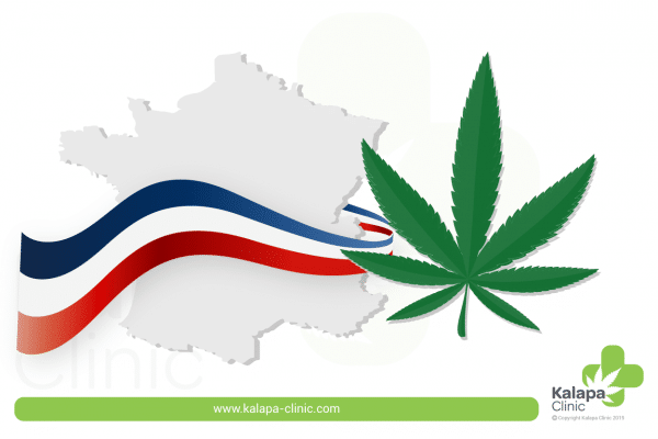 Comment produire du CBD en France ?