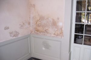 Comment éviter les moisissures sur les murs ?